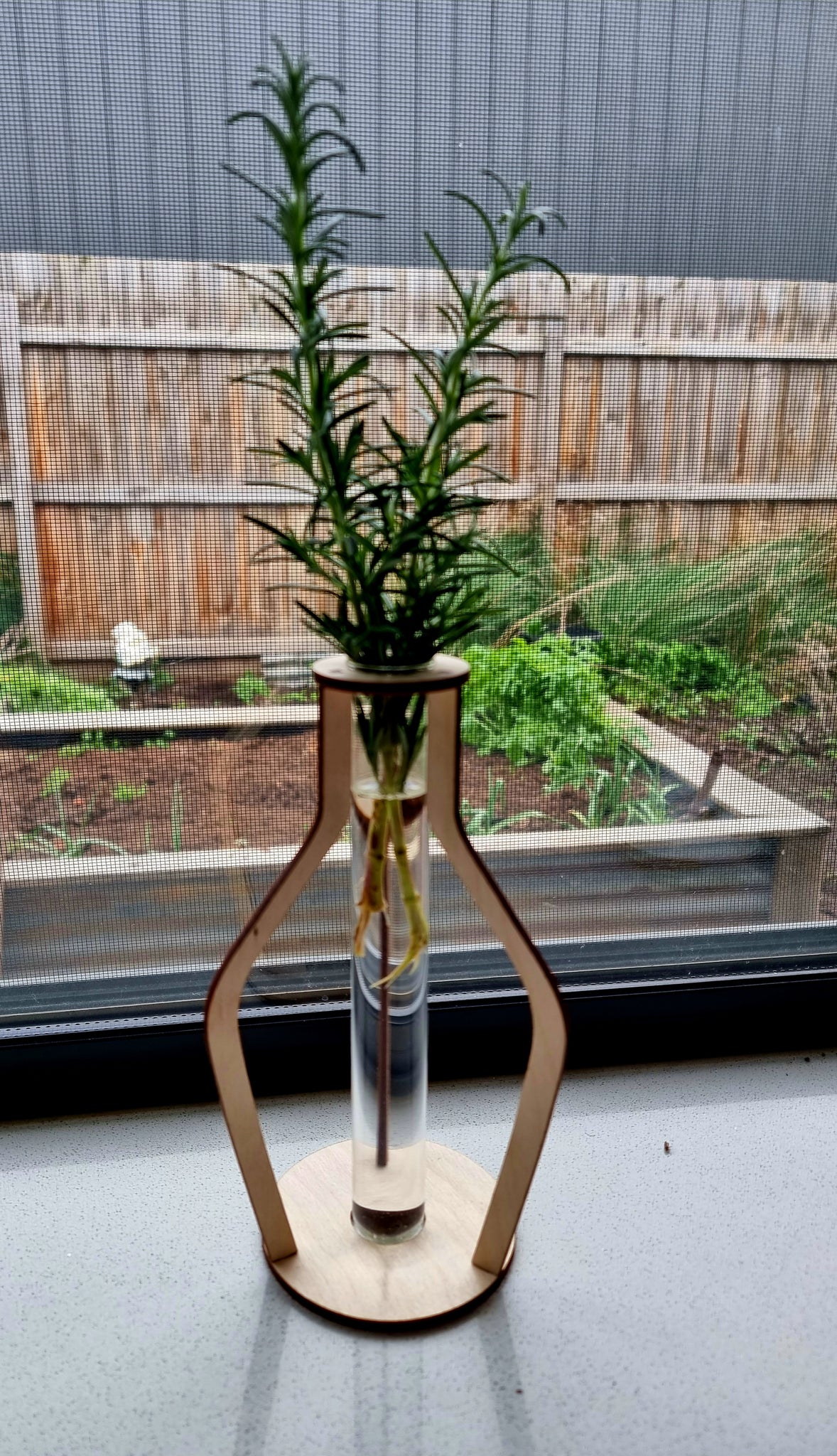 Propagation wood vase