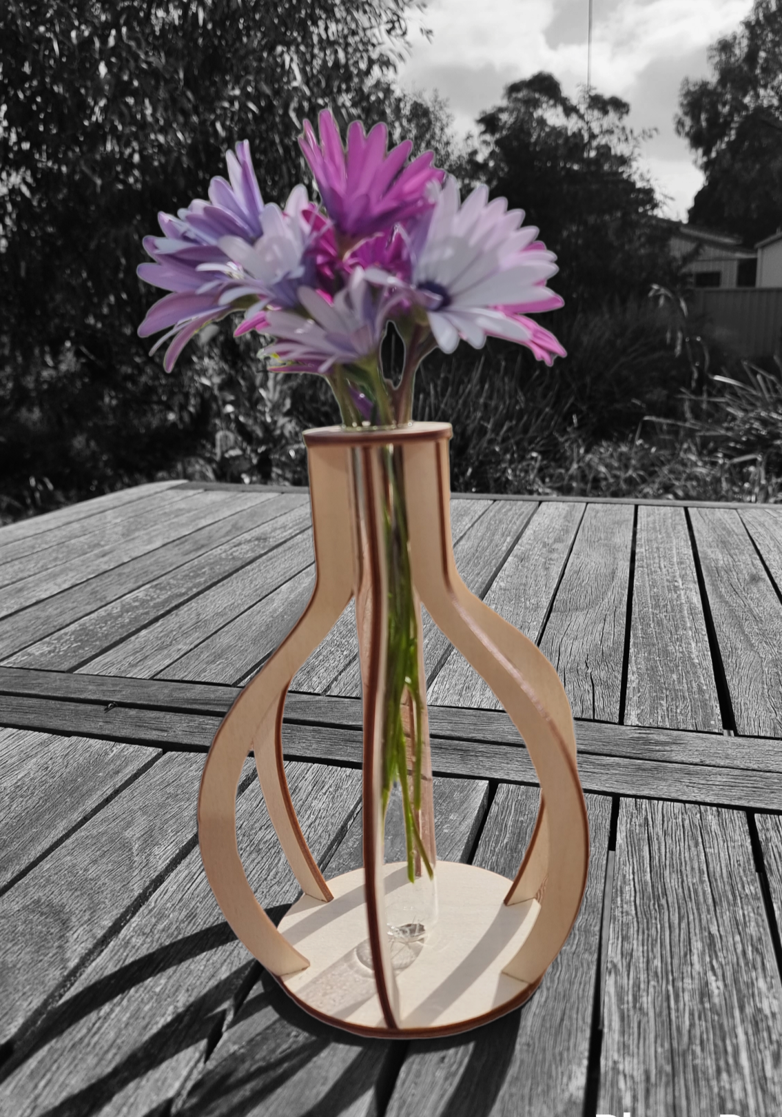 Single propagation bulb vase